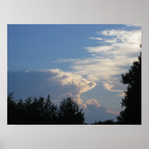 Affiche Nuages et arbres