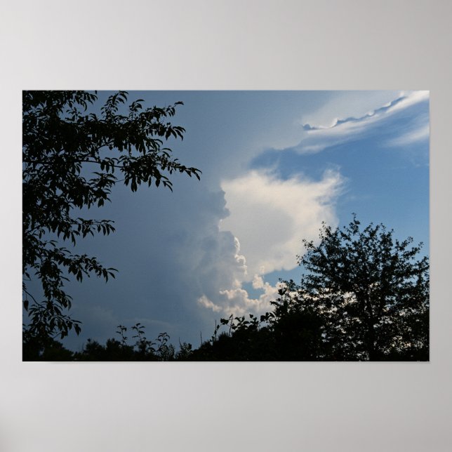 Affiche Nuages et Arbres (Devant)