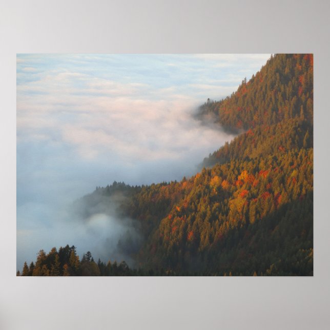 Affiche Nuages matinaux Pieniny (Devant)