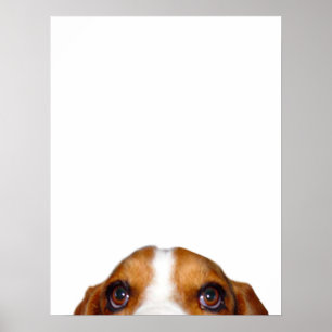 Affiche 'Nuff a dit !