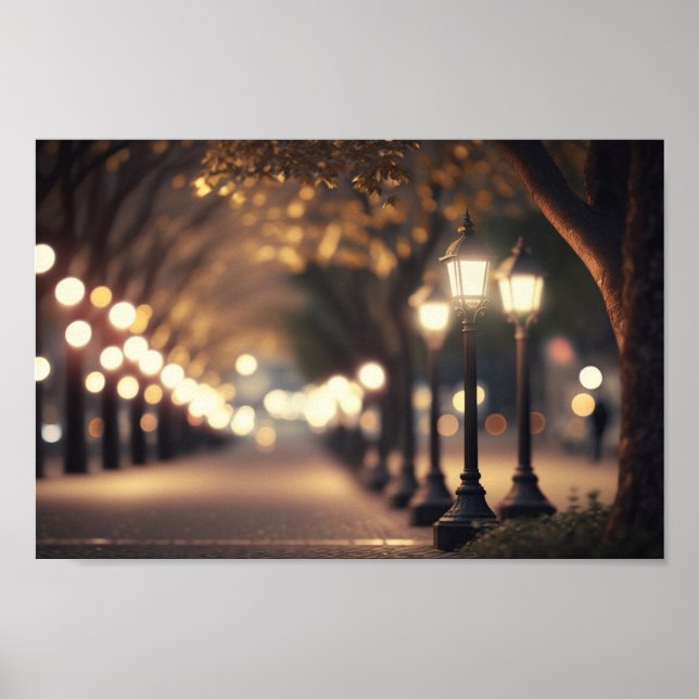 Affiche Nuit au Park avec éclairage Bokeh (Devant)
