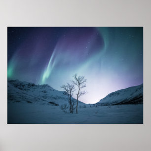 Affiche Nuit Aurora Borealis