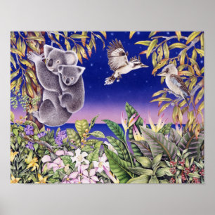 Affiche Nuit australienne
