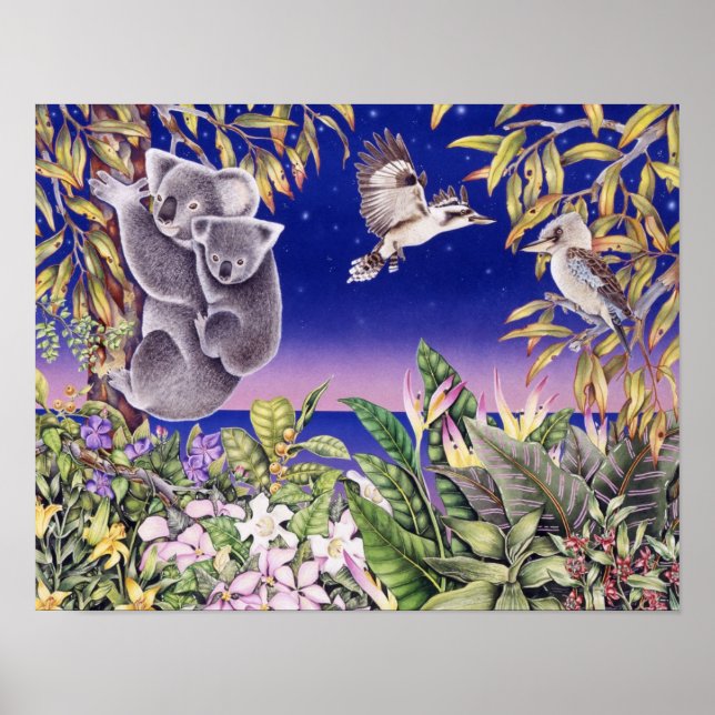 Affiche Nuit australienne (Devant)