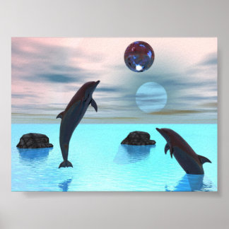 Affiche Nuit des dauphins