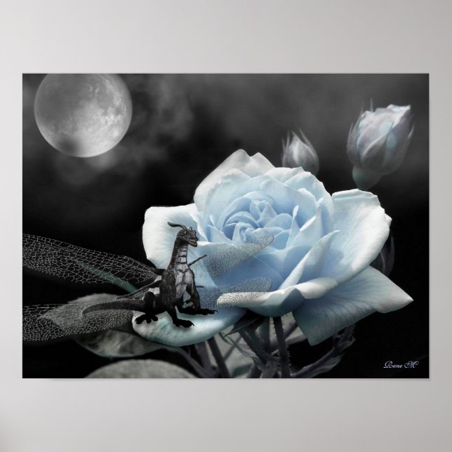 Affiche nuits enchantées bleu (Devant)