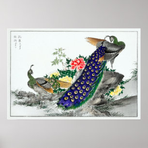 Affiche Numata Kashu Peacock et Peony