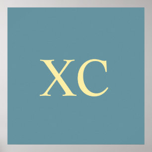 Affiche Numéro romain 90