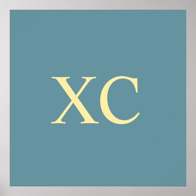 Affiche Numéro romain 90 (Devant)