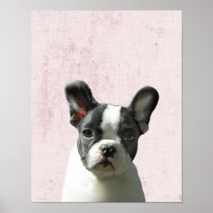 Affiche Nurserie pastel rose pour chiot Boston Terrier Pee