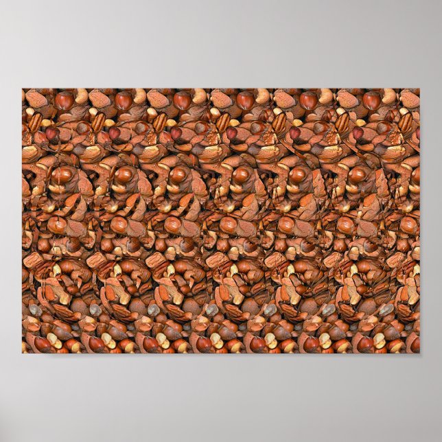 Affiche Nutcracker Squirrel - Hidden 3D print (Devant)