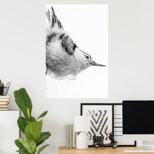 Affiche Nuthatch, photo d'oiseaux blancs