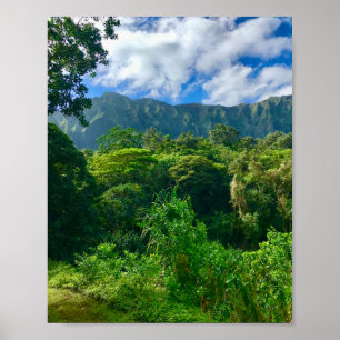 Affiche Oahu, forêt tropicale d'Hawaii