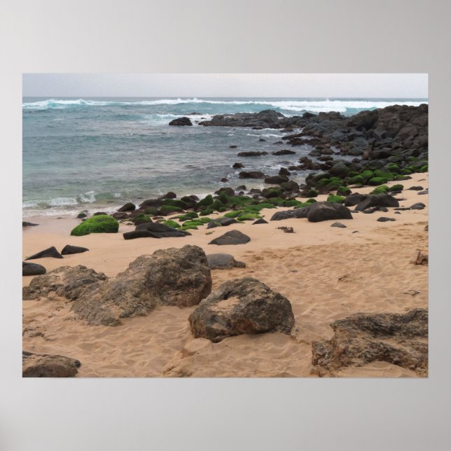 Affiche Oahu's North Shore and Sea Turtle  (Devant)