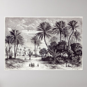 Affiche Oasis de Gafsa : Tunis