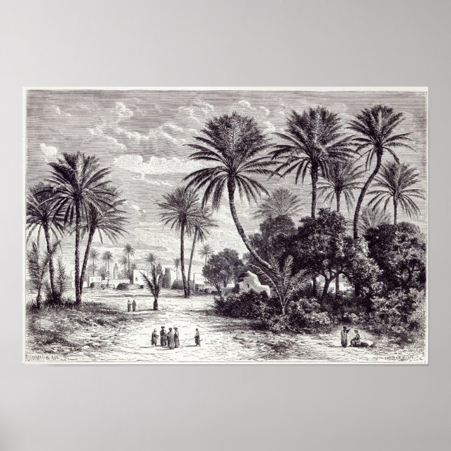 Affiche Oasis de Gafsa : Tunis (Devant)