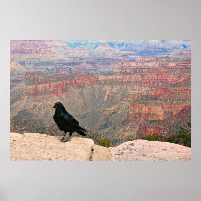 Affiche Observateur du Canyon (Devant)