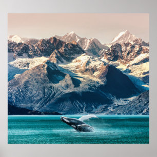 Affiche Observation des baleines de l'Alaska : excursion e