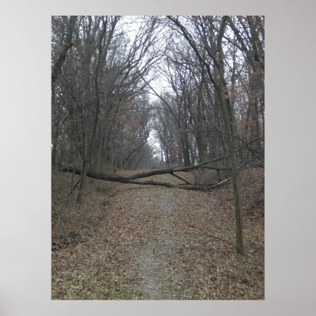 Affiche Obstacle sur la route (Devant)