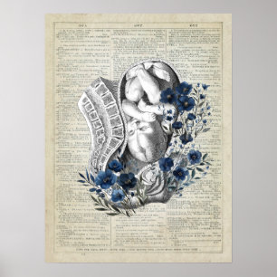 Affiche Obstétrique Baby in Womb Anatomie Bleu Floral Art