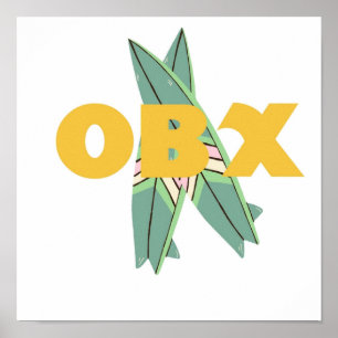 Affiche OBX pogue life outer banks