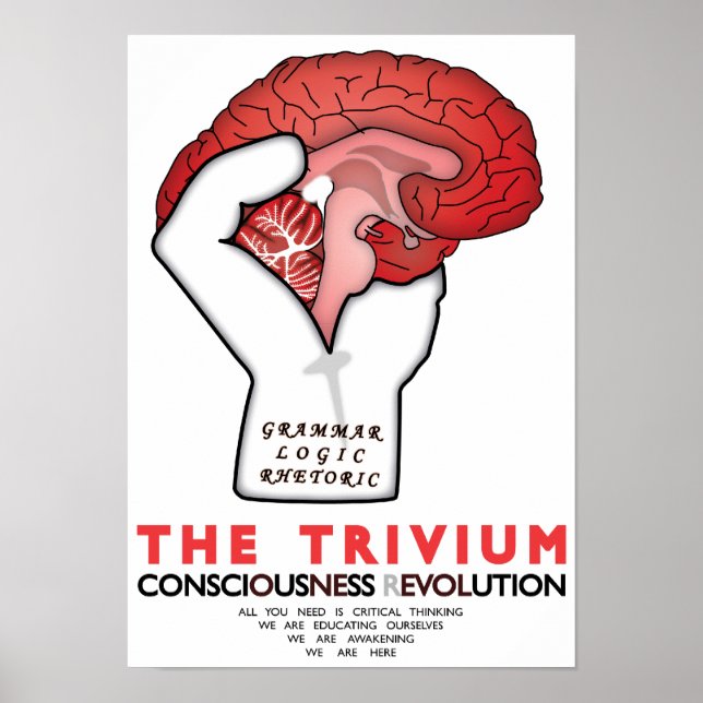 Affiche Occupy Le Trivium (Devant)