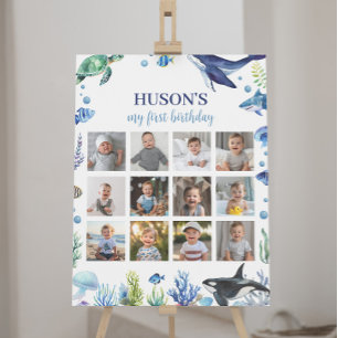 Affiche Ocean Animal Boy Anniversaire Photo Jalon Signal