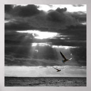 Affiche Océan noir et blanc