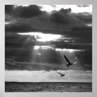 Affiche Océan noir et blanc