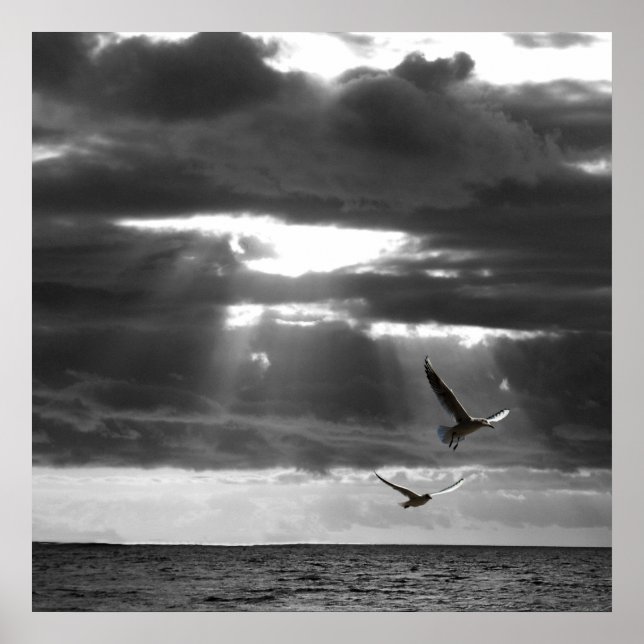 Affiche Océan noir et blanc (Devant)