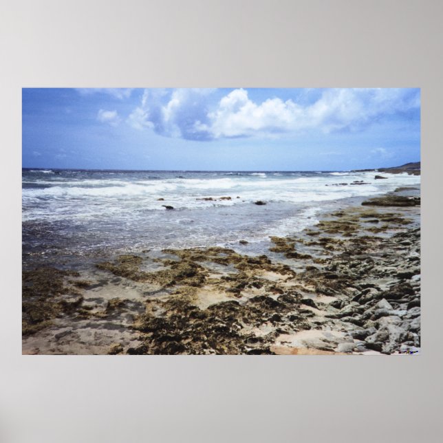Affiche Océan rocheux d'Aruba (Devant)
