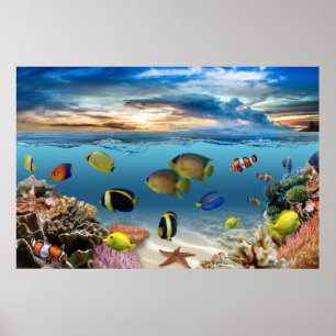 Affiche Ocean Underwater Coral Reef Tropical Fish