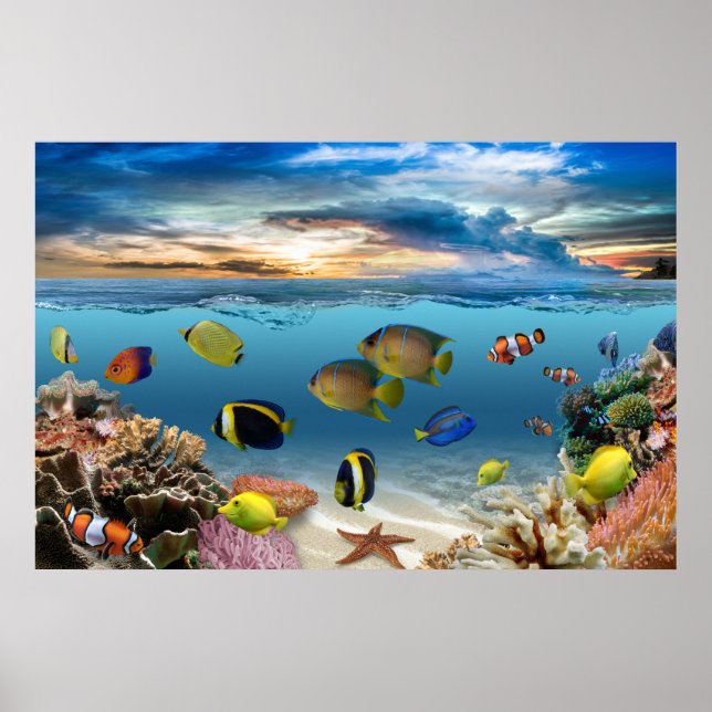 Affiche Ocean Underwater Coral Reef Tropical Fish (Devant)
