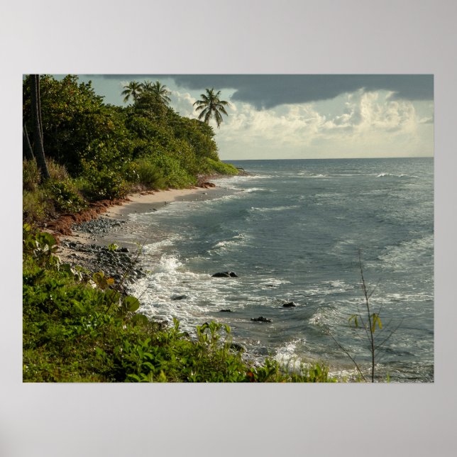 Affiche Ocean Waves Sea Caribbean USVI Beach  (Devant)