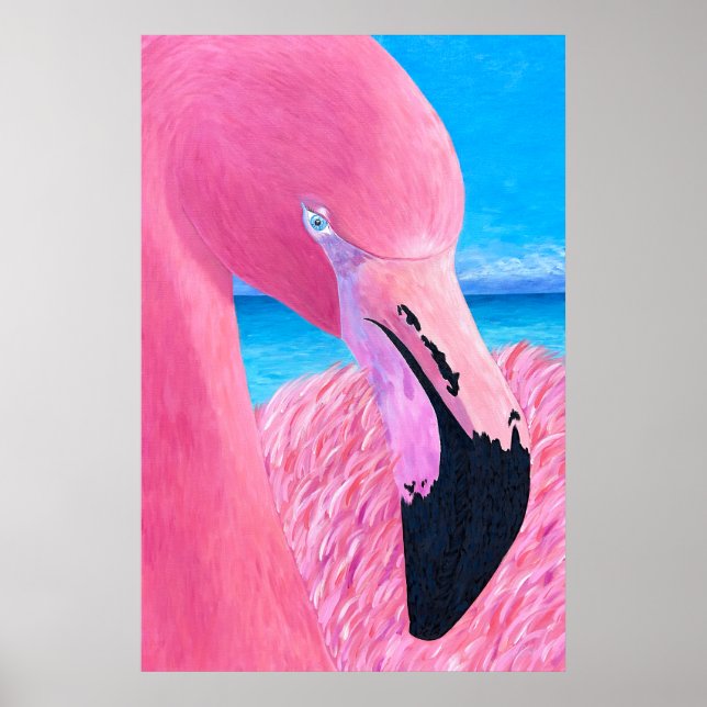 Affiche Océanie le Flamant rose de la tête haute par Just  (Devant)