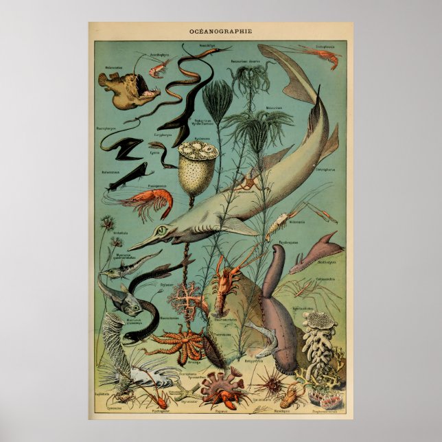 Affiche Oceanografia Adolphe Millot Le Larousse Pour Tous (Devant)