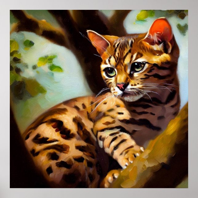Affiche Ocicat Cat (Devant)