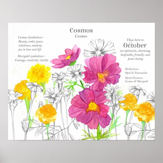 Affiche October Birth Flower Language of Flowers Marigold (Devant)