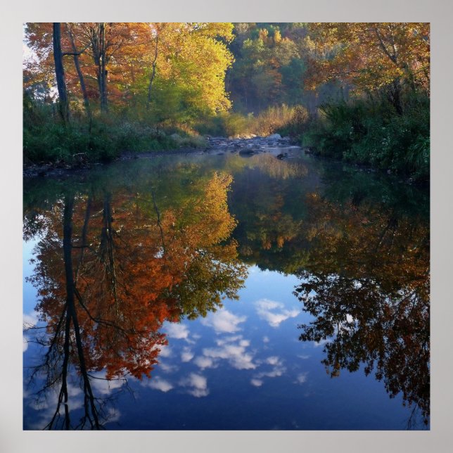 Affiche Octobre Au Stream (Devant)