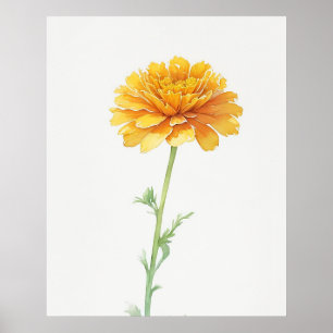 Affiche Octobre Marigold Fleur de naissance