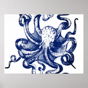 Affiche Octopus bleu