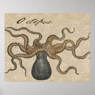 Affiche Octopus Kraken Illustration Vintage