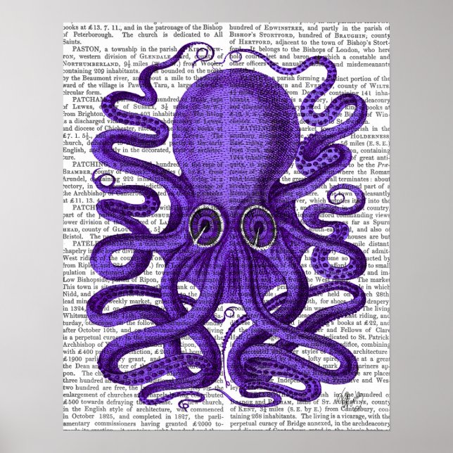 Affiche Octopus pourpre (Devant)