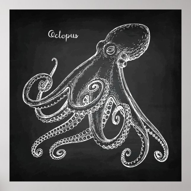 Affiche Octopus Sketch (Devant)