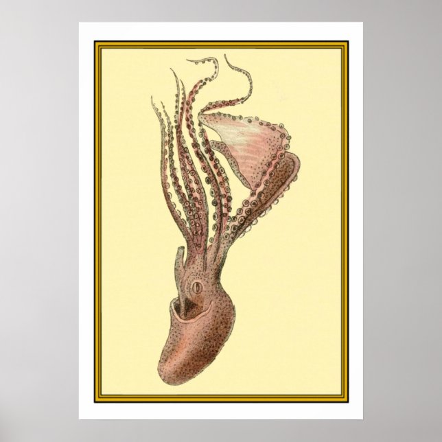 Affiche Octopus vintage (Devant)