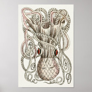 Affiche Octopus Vintage Cephalopod Mer Créatures Art Impri