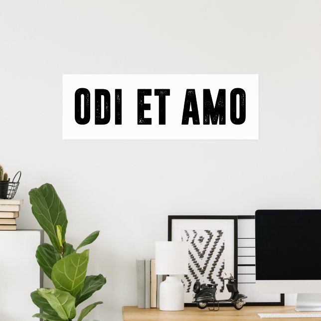 Affiche Odi et amo (Bureau à domicile)