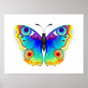 Affiche Oeil de paon arc-en-ciel