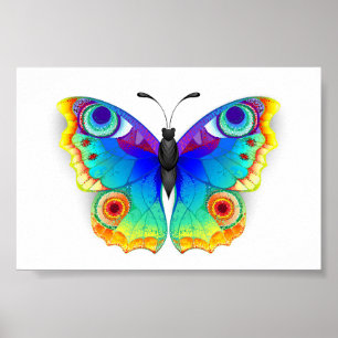 Affiche Oeil de paon arc-en-ciel