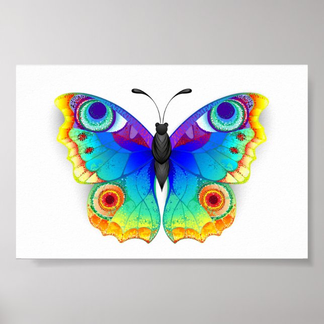 Affiche Oeil de paon arc-en-ciel (Devant)
